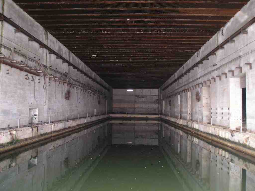 view, of, typical, cell